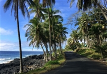 Hawaii Gorgeous Property Hard to Find Investment Lot in Nanawale Estates with Low Monthly Payments!
