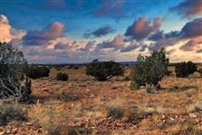 Arizona Apache County 38 Acre Property with Road Frontage! Rare Find Now Available with Low Monthly Payment!
