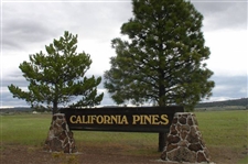 CASH SALE Discount Northern California Modoc County 0.92 Acre Lot in California Pines! Make A One Time Full Payment and the Deed Is Yours!