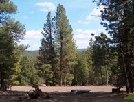 California Modoc County Approx 1 Acre Recreational Land Investment Property! Low Monthly Payments!