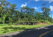 Hawaii Gorgeous Property on Paradise Road! Hard to Find Investment Lot in Nanawale Estates with Low Monthly Payments!