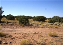 Arizona Apache County 41 Acre Prime Land Property with Road Frontage and Low Monthly Payment!