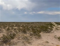 Texas 21 Acre Land Investment near Dell City and Highway in Hudspeth County! Low Monthly Payments!