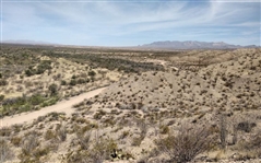 Texas Presidio County 40 Acre Property! Fantastic Recreational Opportunities and Hunting! Low Monthly Payments!