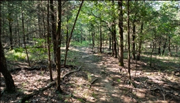 Arkansas Sharp County Homesite Lot in Cherokee Village! Terrific Investment Property! Low Monthly Payment!